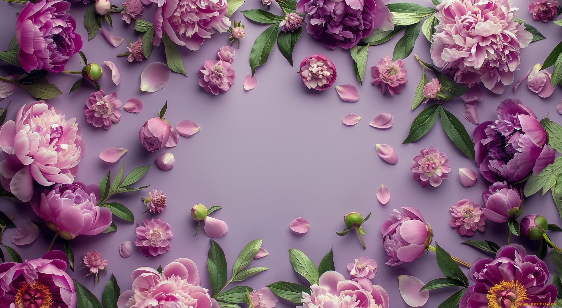 3 ,  , flowers, 